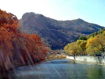 澳门天天开奖免费资料，无上邪祖